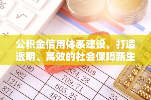 浑江公积金信用体系建设，打造透明、高效的社会保障新生态