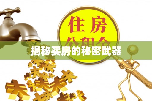 浑江揭秘买房的秘密武器