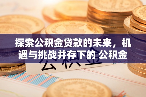 浑江探索公积金贷款的未来，机遇与挑战并存下的 公积金贷款风险防控